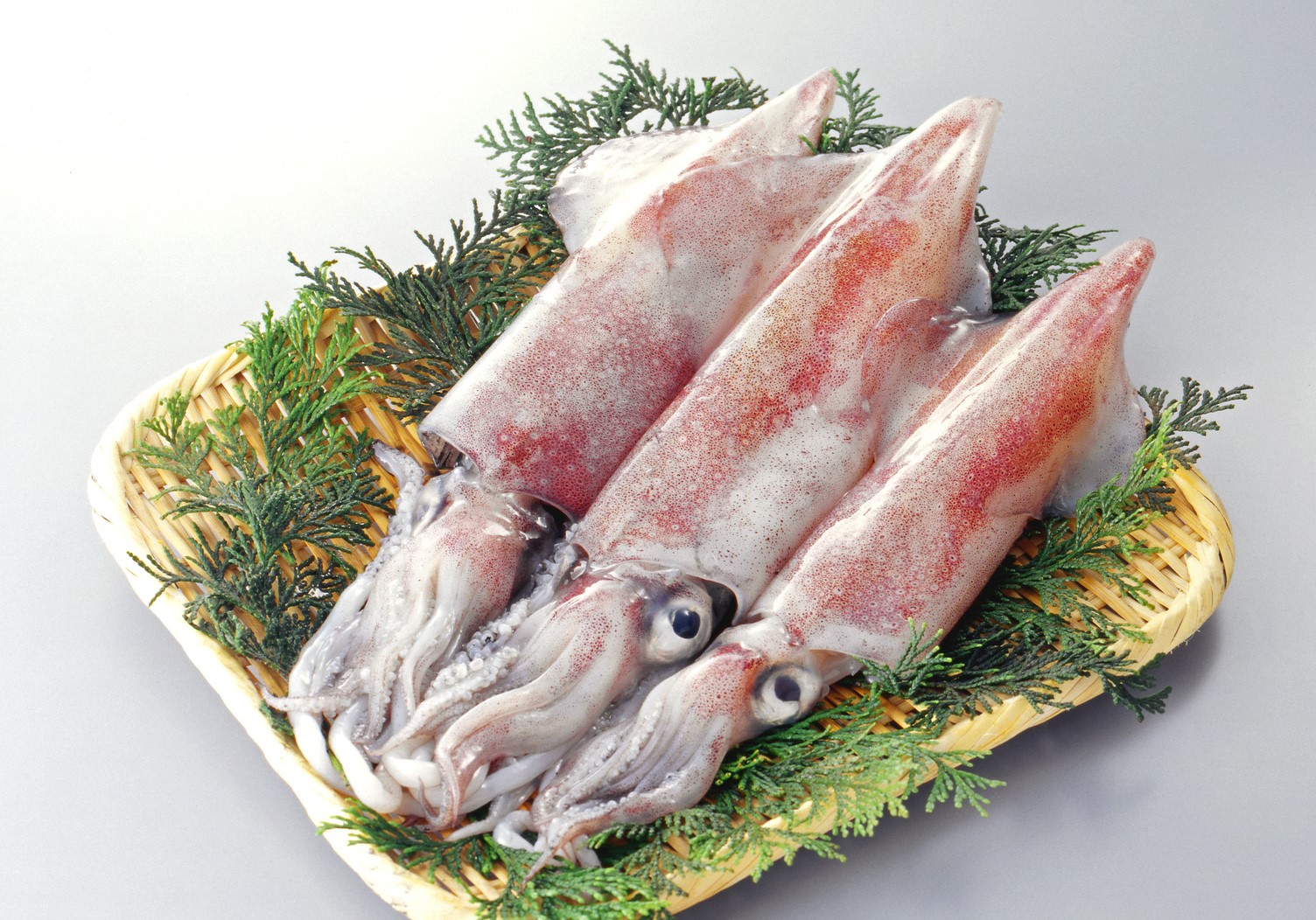 冷凍イカの美味しいレシピ イカをムダなく美味しく食べるコツ 急速冷凍 による高品質な業務用食材通販マーケット