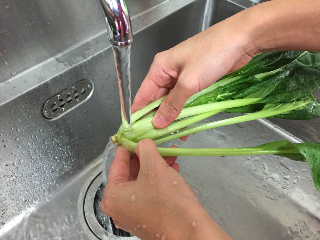 小松菜を洗う