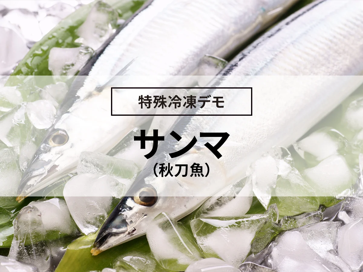 サンマ(秋刀魚)の凍結（急速冷凍デモ）