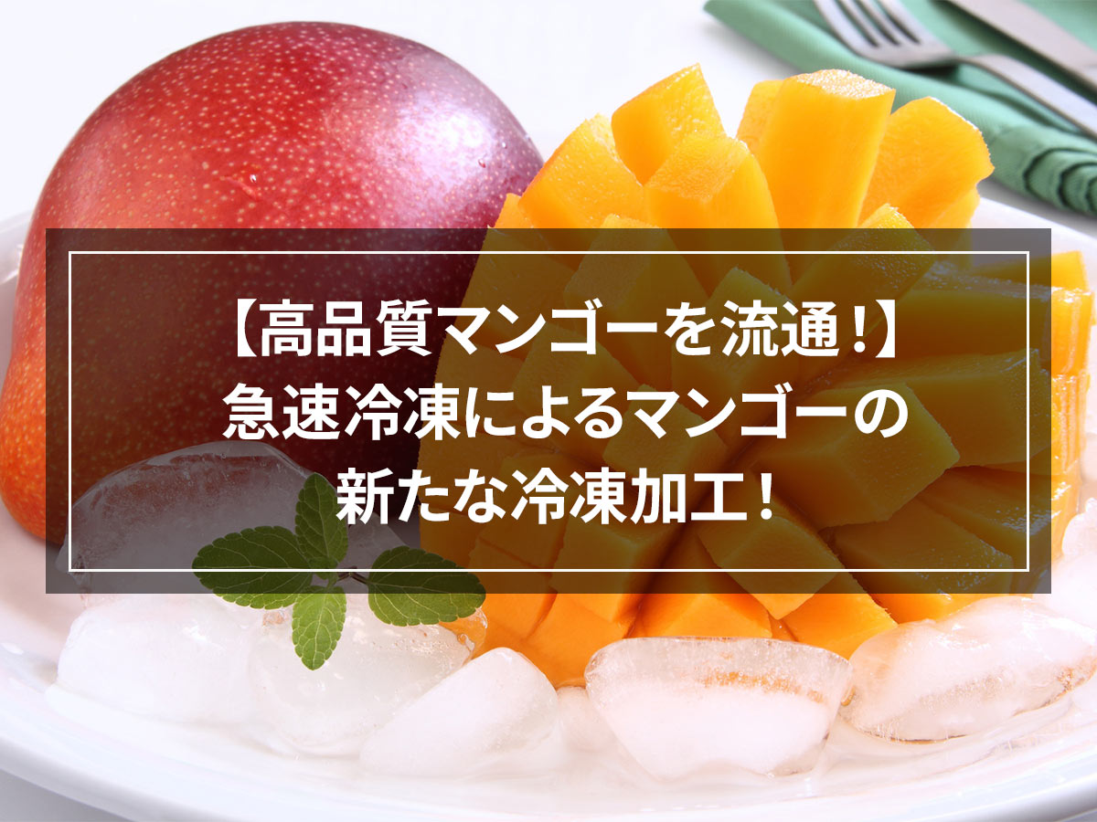 [Distribute high quality mangoes! ] New frozen processing of mangoes using rapid freezing!