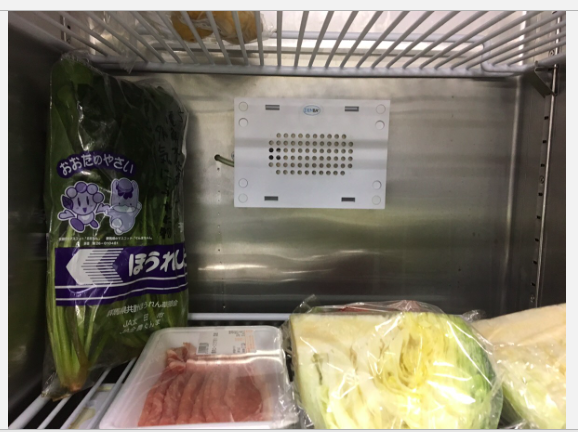 DENBAは氷点下でのチルド環境で保存が可能