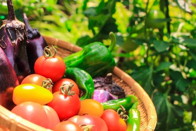 野菜・果物を鮮度保持する4つの方法と食品全般に対応する最新技術