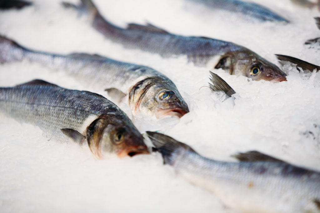 冷凍した魚の栄養