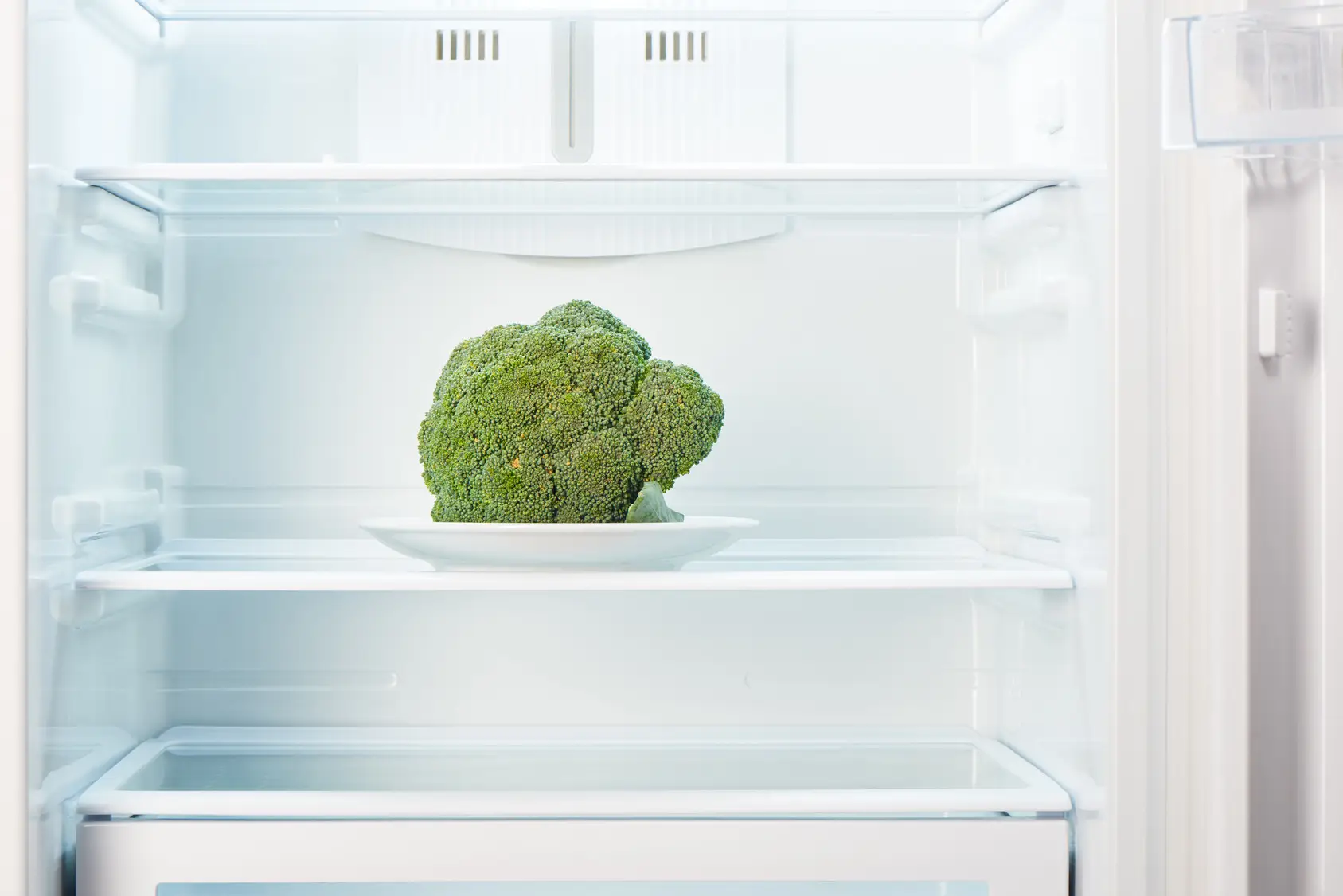 Broccoli in the fridge