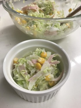 Chinese cabbage coleslaw