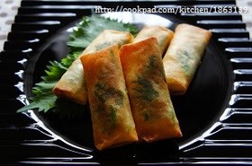 Chicken fillet cheese spring rolls accented with shiso leaves