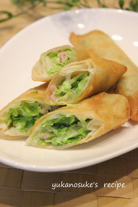 Easy lunch box cabbage and hamchee spring rolls