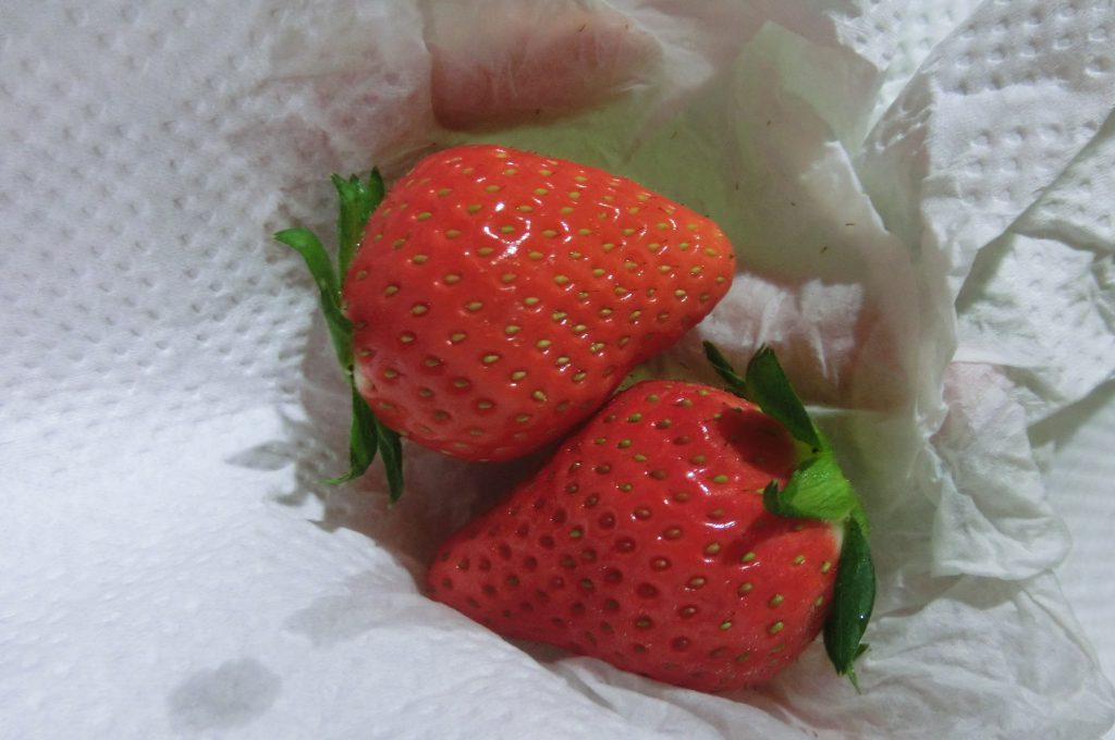 How to store strawberries