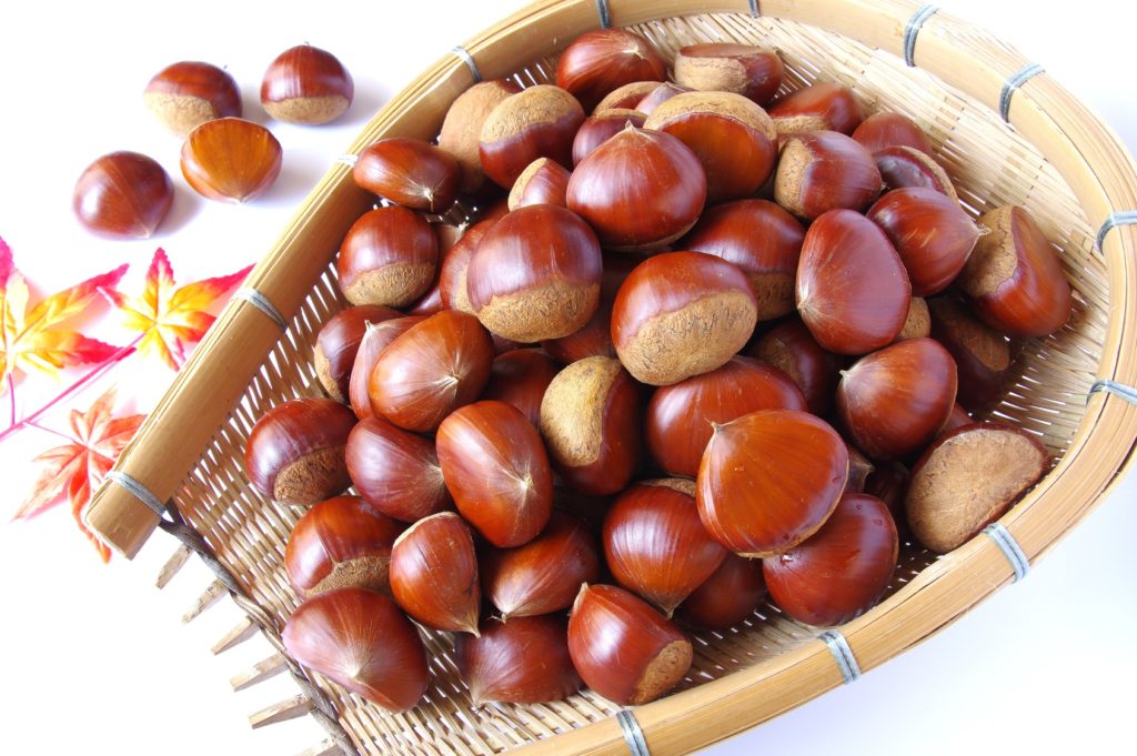 Chestnuts that look delicious