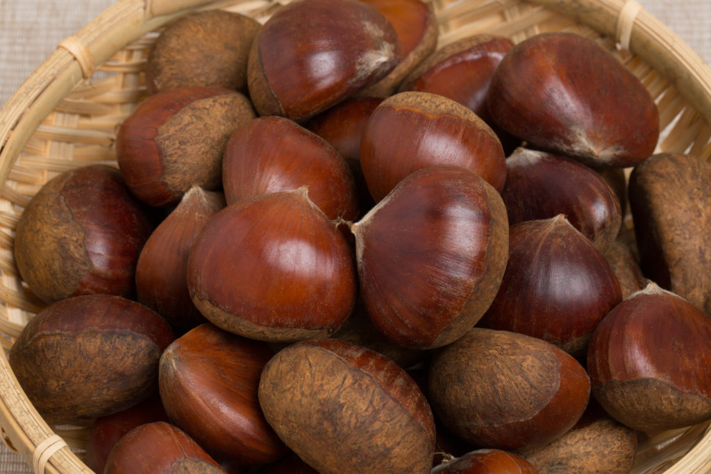 How to identify worm-eaten chestnuts