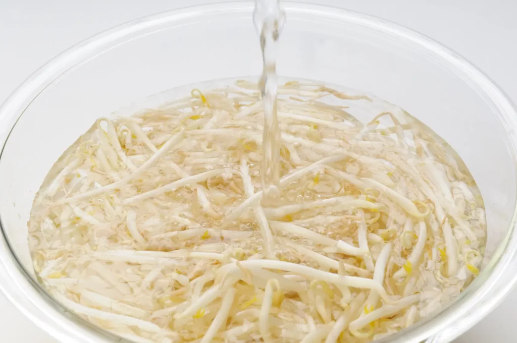 bean sprouts to wash