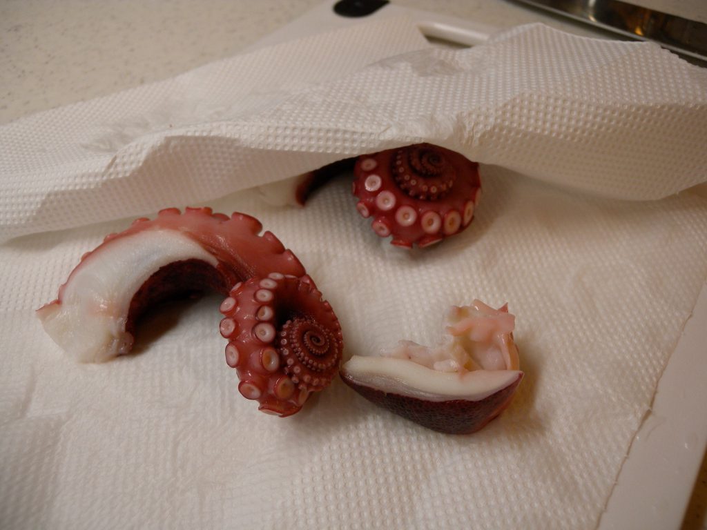 Freezing preservation of octopus