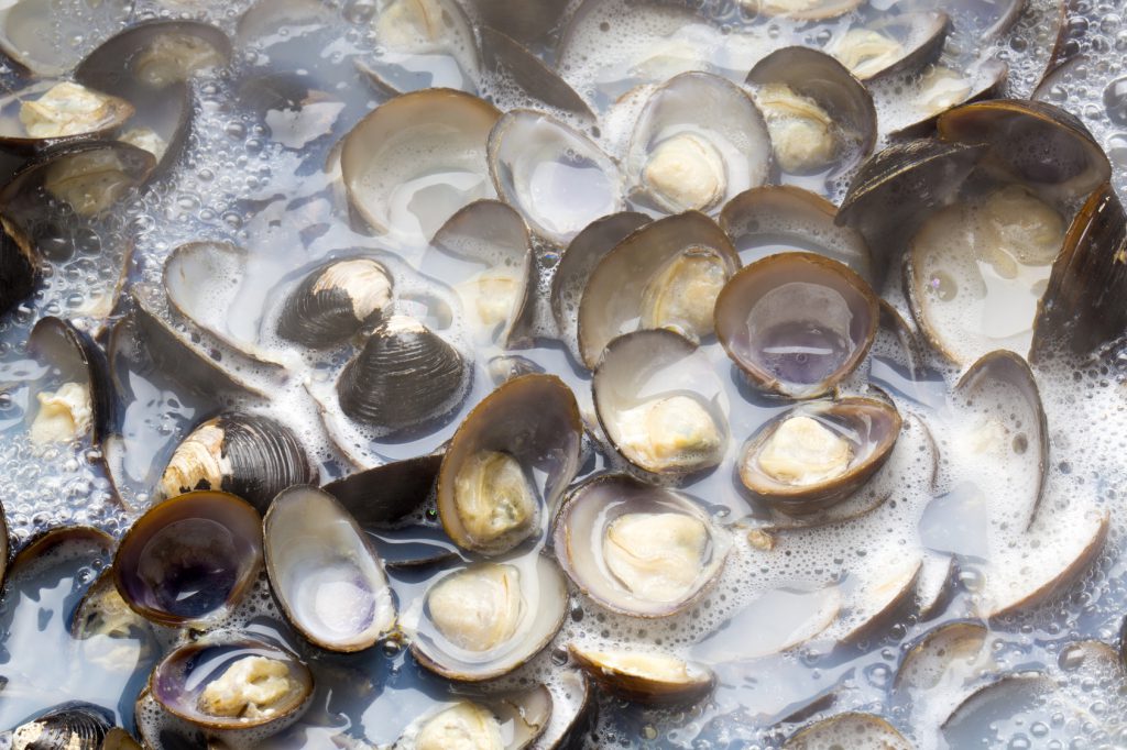 How to thaw frozen clams and storage period