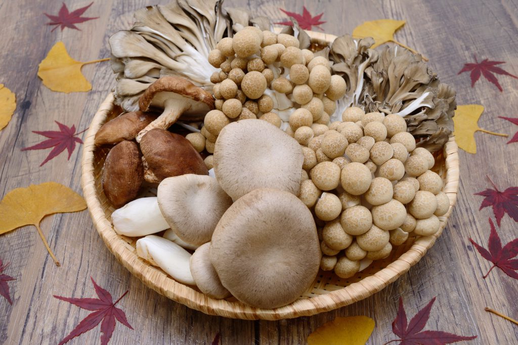 Assorted shimeji mushrooms
