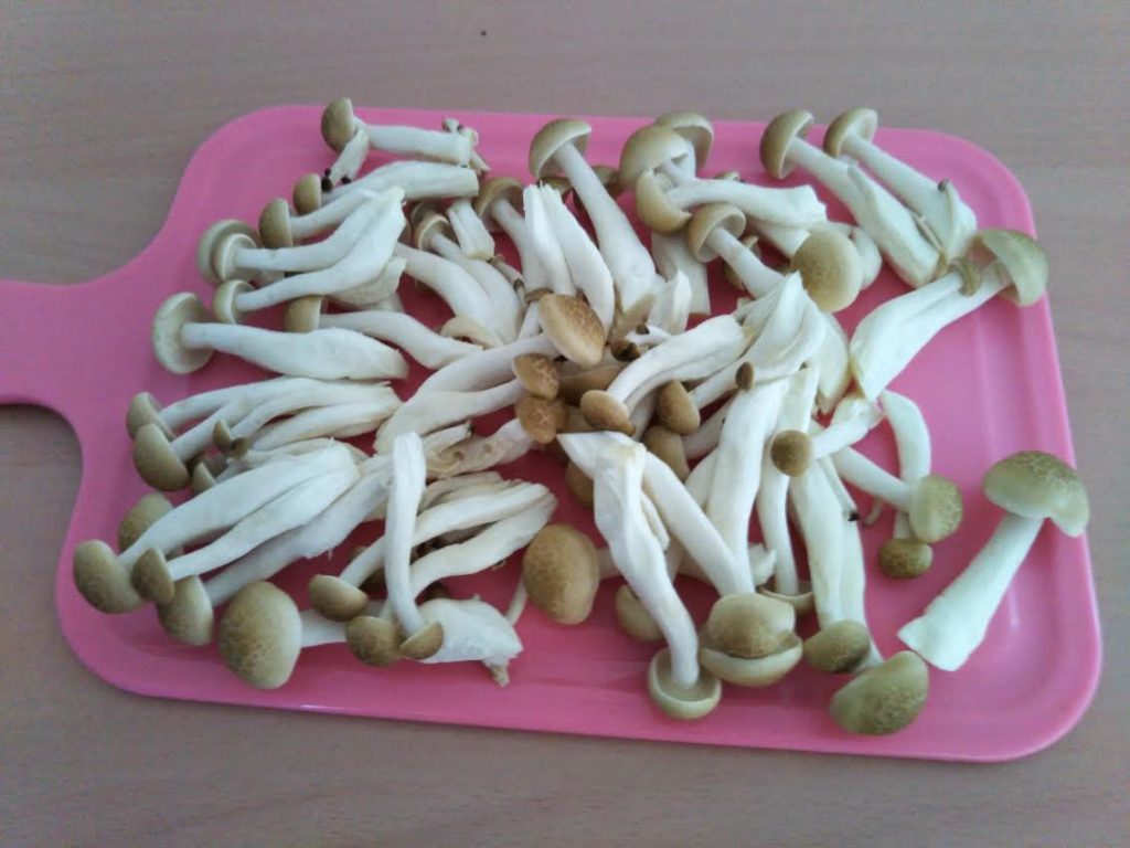 Separate the shimeji mushrooms