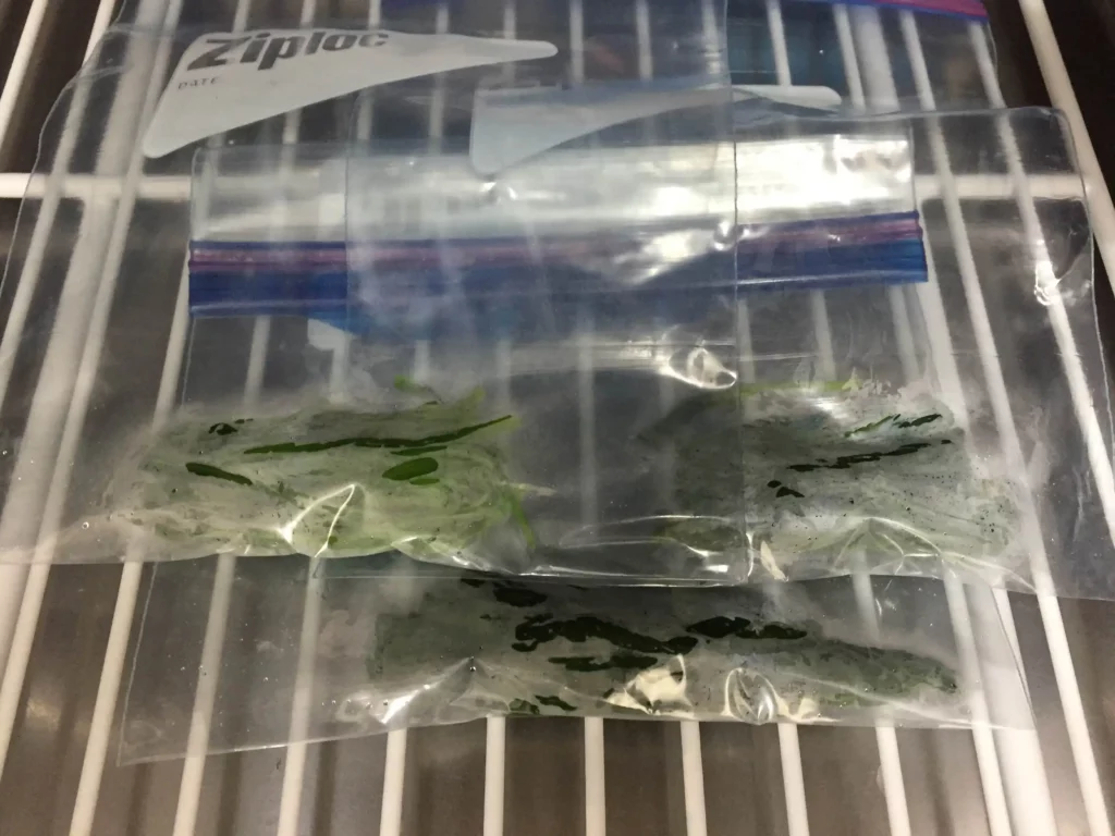 Spinach in a Ziploc bag