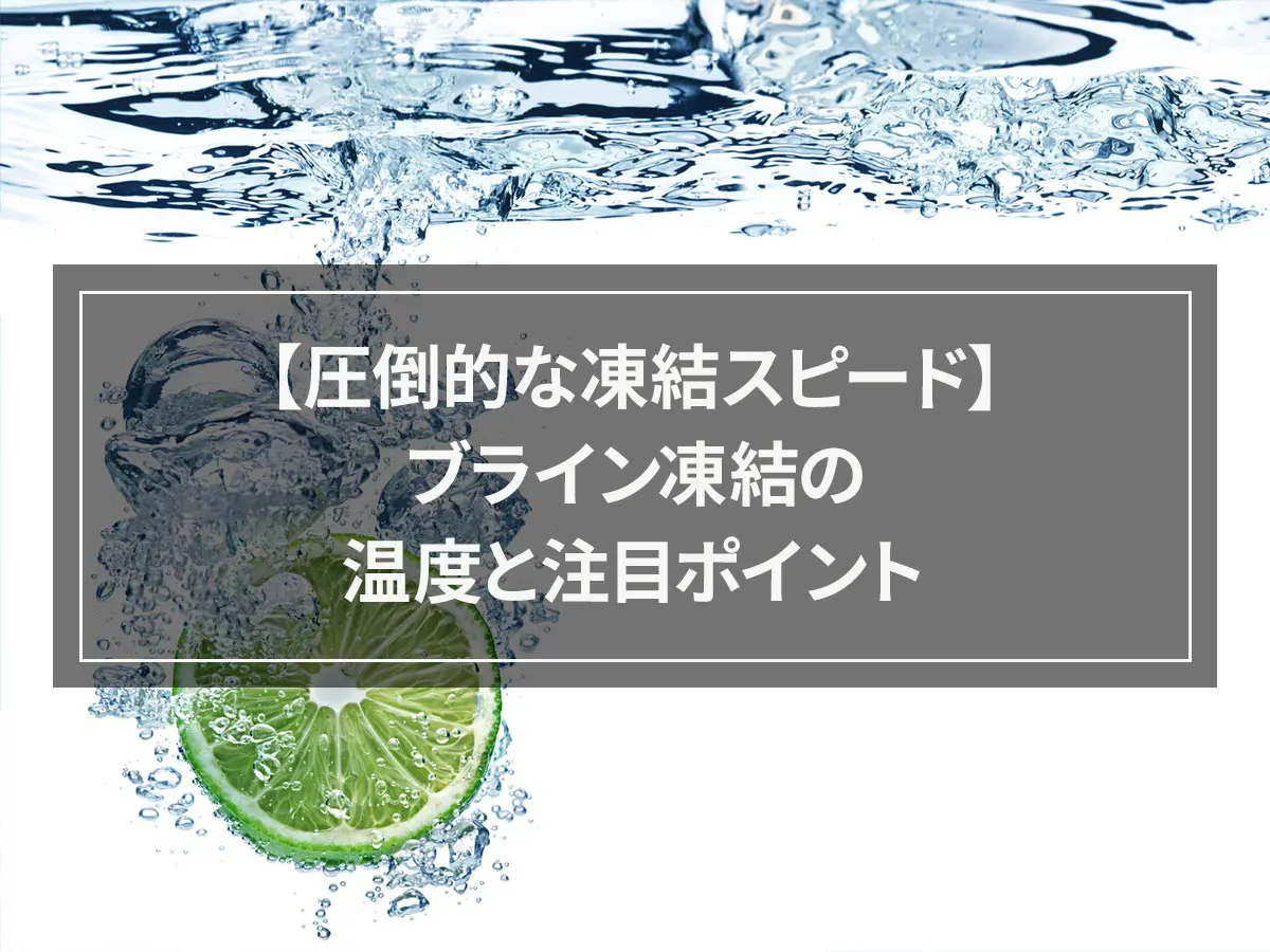 【圧倒的な凍結スピード】ブライン凍結の温度と注目ポイント