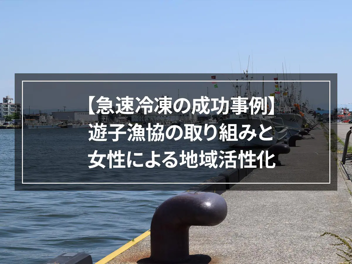 【急速冷凍の成功事例】遊子漁協の取り組みと女性による地域活性化