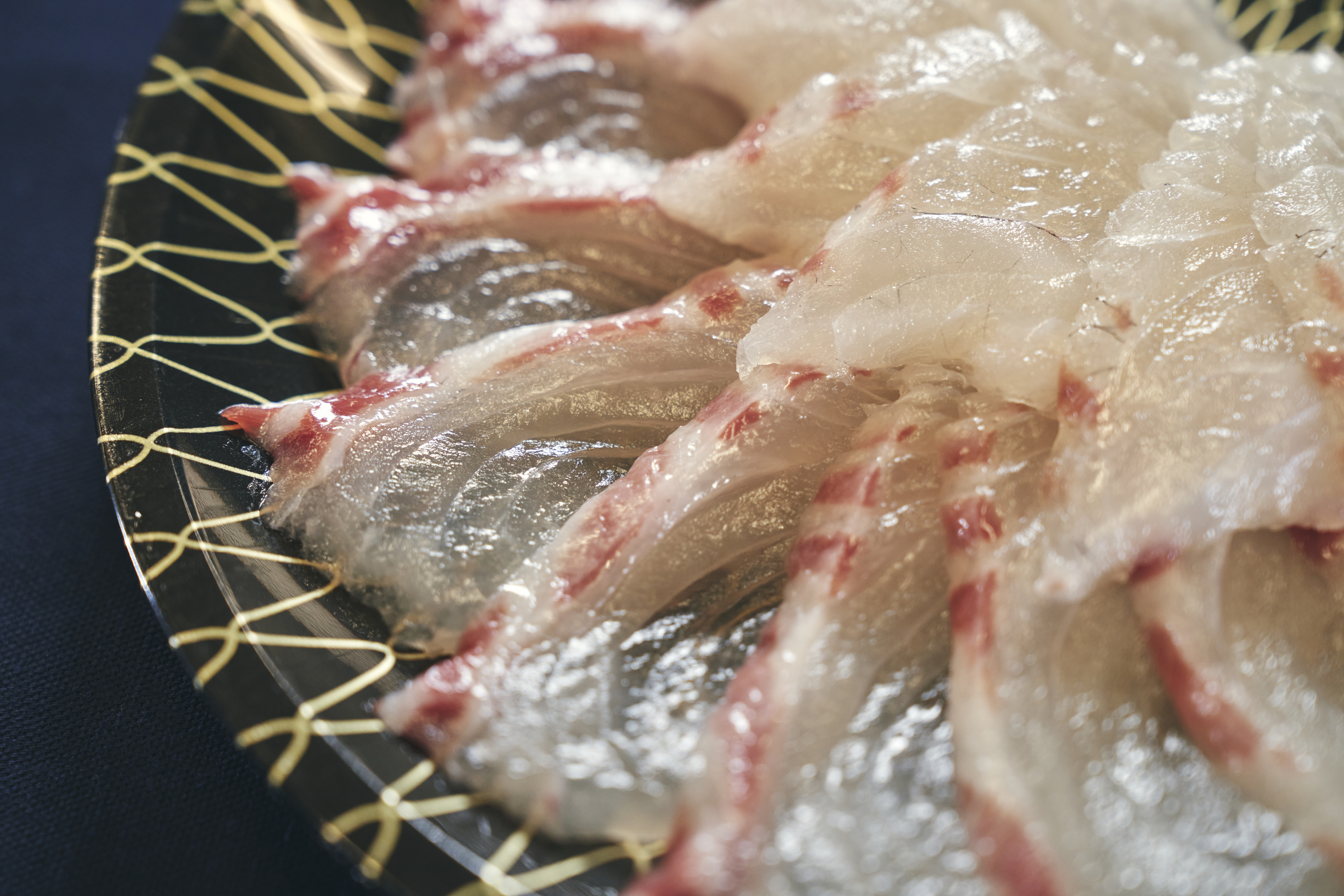 高付加価値化で水産業を次の時代へ。冷凍が支える天草・真鯛養殖の戦略転換